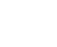 Small Dragon